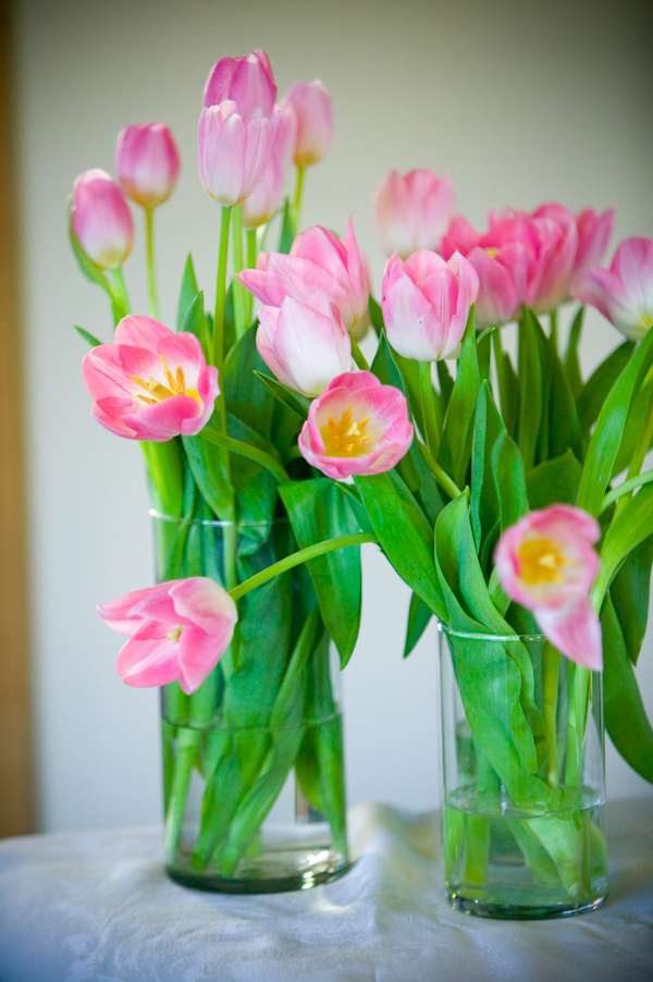 pink tulips-real wedding photo by Seattle photographer J. Garner